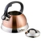 thumbnail image 3 of Hervidor de té Mr. Coffee Flintshire de acero inoxidable 1,75 L, 3 of 6