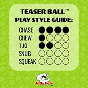 Jolly Pets Puncture Resistant Teaser Ball with Inside Ball, Blue
