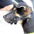 thumbnail image 3 of Bozal CHAO negro M para perros pequeños y medianos suave antiladridos, 3 of 5