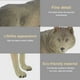thumbnail image 3 of Figuras de Juguete PVC de Alta Simulación Modelo de Vida Silvestre Colección de Juguetes de Animales Figura Decorativa Adorno ANGGREK Otros, 3 of 8