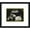 Green, variant on 16x5 Black Sonogram Frame with White on White Mats with 3 Openings to Display 3 4x3 Sonograms -
