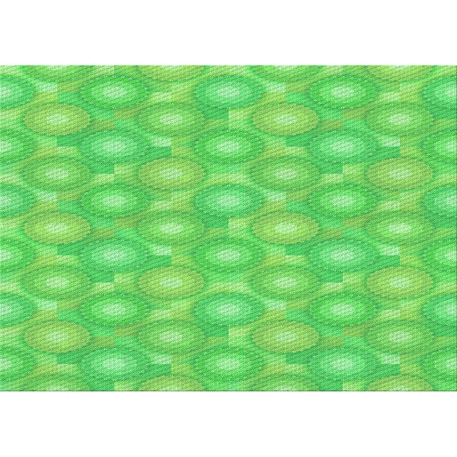 Ahgly Tapis Rectangulaire Lavable en Machine Intérieur Transitionnel Vert Néon, 2 Pieds x 5 Pieds