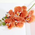 thumbnail image 3 of fuxzkrlz Real Touch Fake Orchids Flowers Faux Silk Artificial Phalaenopsis Flower with 5 Heads Blooms for Home Indoor Decor Office Tabletop Centerpiece Floral Arrangement, 3 of 6