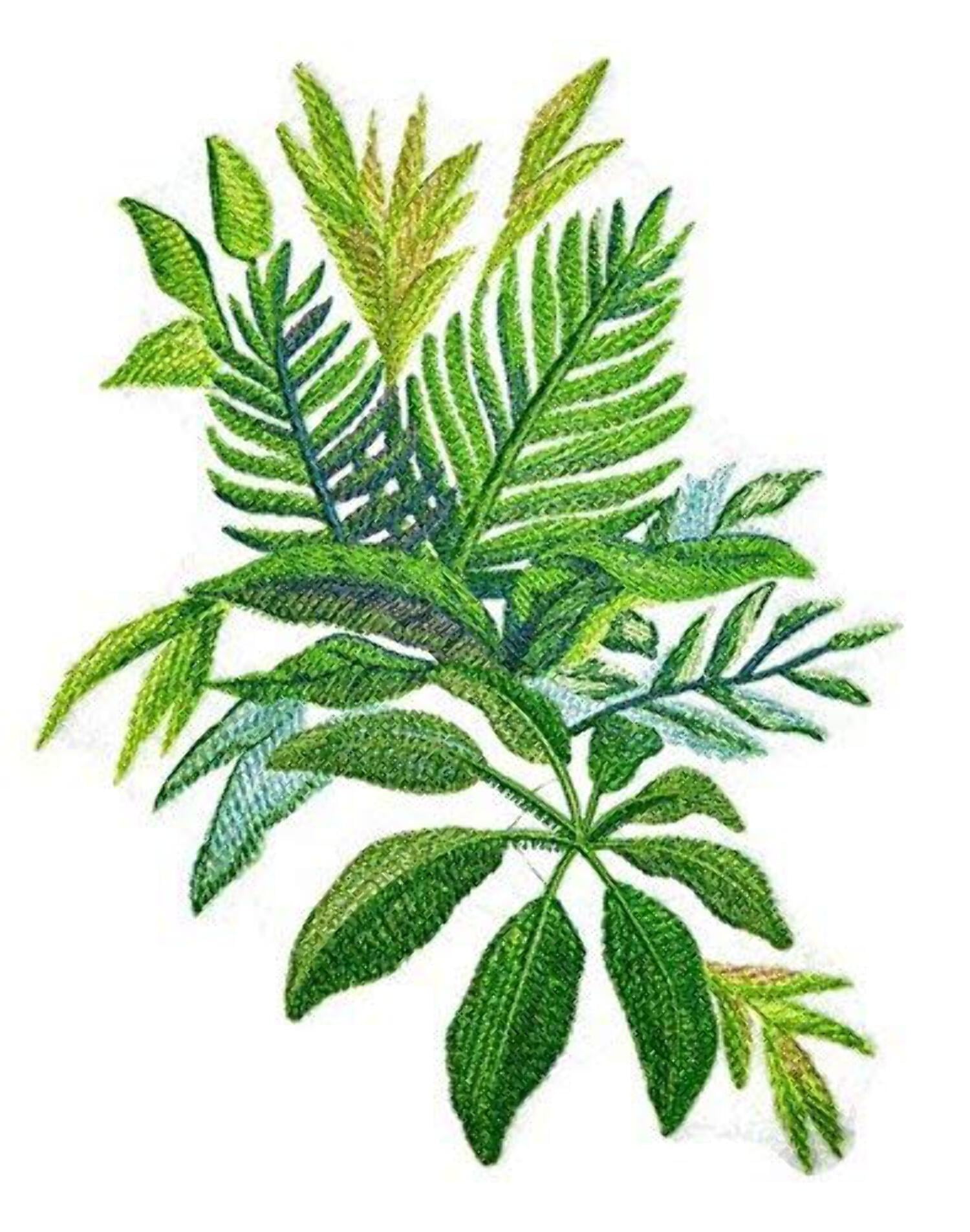 Custom and Unique Watercolor Tropical Leaves [Watercolor Tropical Leaves -2] Embroidered Iron on/Sew Patch [6.88" 7.68"]
