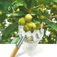 thumbnail image 4 of Metal Fruit Picker Orchard Gardening Peach High Tree Picking Tools Fruit Catcher Collection Pouch Farm Garden Tools, 4 of 5