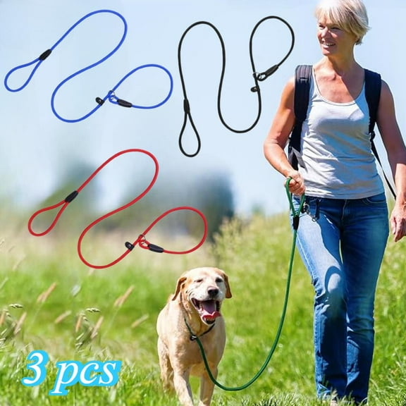 3-Pack Heavy-Duty Nylon Adjustable Slip Leads for Dogs, 150cm/5ft - Red, Black, Blue - Adjustable, Durable