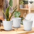 thumbnail image 6 of 6 inch Plant Pots, 5 Pack Flower Pots Outdoor Indoor, Planters with Drainage Hole and Tray Saucer（White）, 6 of 12
