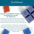 thumbnail image 4 of Cubes de cire parfumée ScentSationals - Framboise noire et vanille, 4 of 4