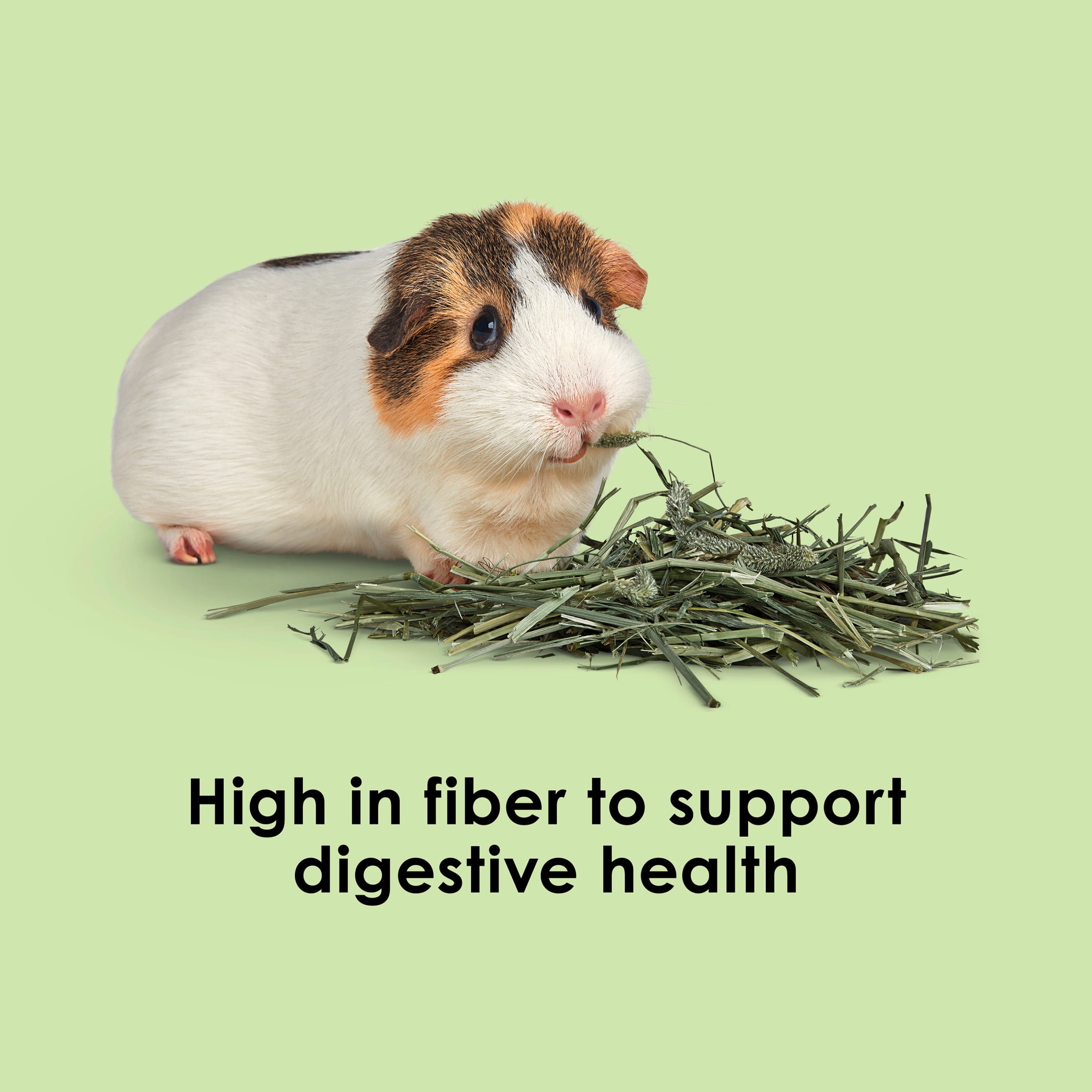 f3571926-ede7-48c4-96c7-