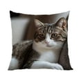 thumbnail image 2 of CaiYueKe Cute Pet Pillowcase Hidden Zipper Decorative Throw Pillow Cover Soft Plush Cuddly Pillow Case for Home Bedroom Living Room Sofa Office Decor Gift, 2 of 7