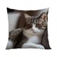 thumbnail image 2 of Uuiauoio Cat Pillow Covers 18x18, Cats Lovers Lady Gifts, Cat Gifts for Mom Mother's Day, Cats Decorative Pillow Covers for Home Bedroom Living Room Office Decor, 2 of 6