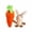 Orange, variant on geerera Easter Bunny in Carrot Pouch with Keychain,Carrot Plush Toy with Bunny Inside Interactive Zipper Design, for Easter Basket Stuffers & Gifts