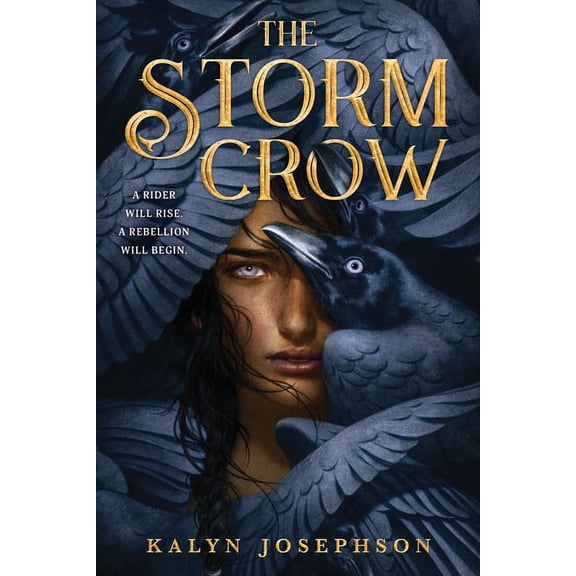 Storm Crow The Storm Crow, Book 1, (Paperback)