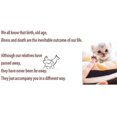 thumbnail image 4 of Handmade Ceramic Pet Urn For Small Animals Small Dogs Rabbits Cats Memorial Cremation Keepsake Memorial Forever Ash Funeral Burial Urn Memory Box 0813, 4 of 4