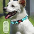 thumbnail image 6 of JingChun Clearance Under $2.00 Reflective Collar and Leash Set with Safety Locking Buckle Adjustable Nylon Pet Collars for Medium s, 6 of 6