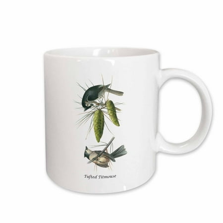 

3dRose Tufted Titmouse by John James Audubon Ceramic Mug 15-ounce
