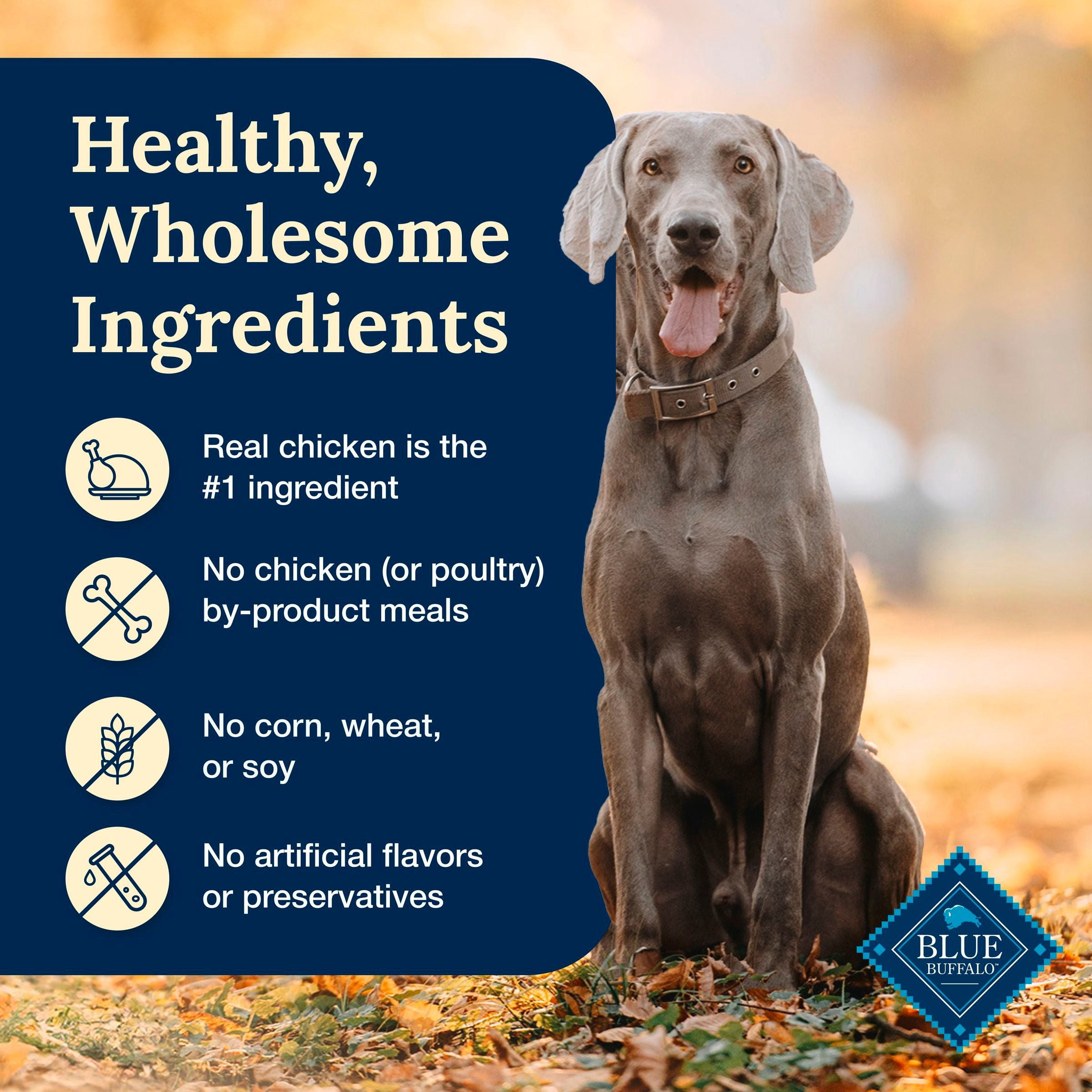 (12 pack) Blue Buffalo Delectables Natural Wet Dog Food Topper, Chicken Dinner 3oz