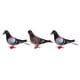 thumbnail image 1 of Adorno Decorativo de Aves 3x de Espuma Artificial Multicolores Sunnimix Pájaros Artesanales Emplumados, 1 of 8