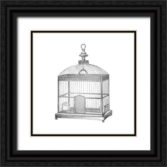 Catalog Illustration [26, 26] Black Ornate Wood Framed with Double Matting Museum Art Print Titled - Etchings: Birdcage - Arched top, filigree detail.