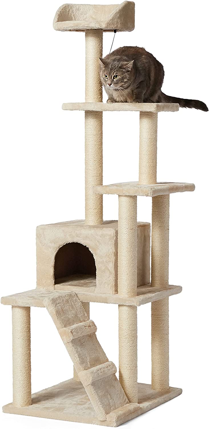 cat tree the range