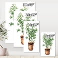 thumbnail image 4 of Designart ' Ficus Benjamina Plant In Clay Flowerpot ' Traditional Canvas Wall Art Print, 4 of 4