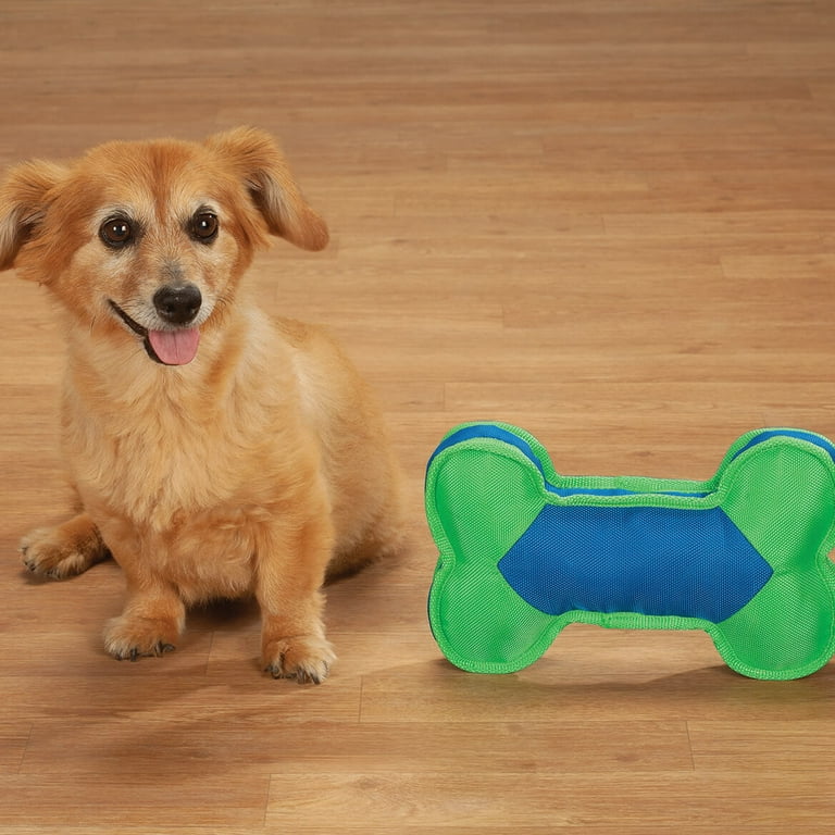 Giant squeaky top dog toy