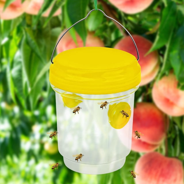 Avispa para exteriores, trampa para moscas de la fruta, reutilizable, para colgar en el jardín, avispón, abeja, receptor (A)