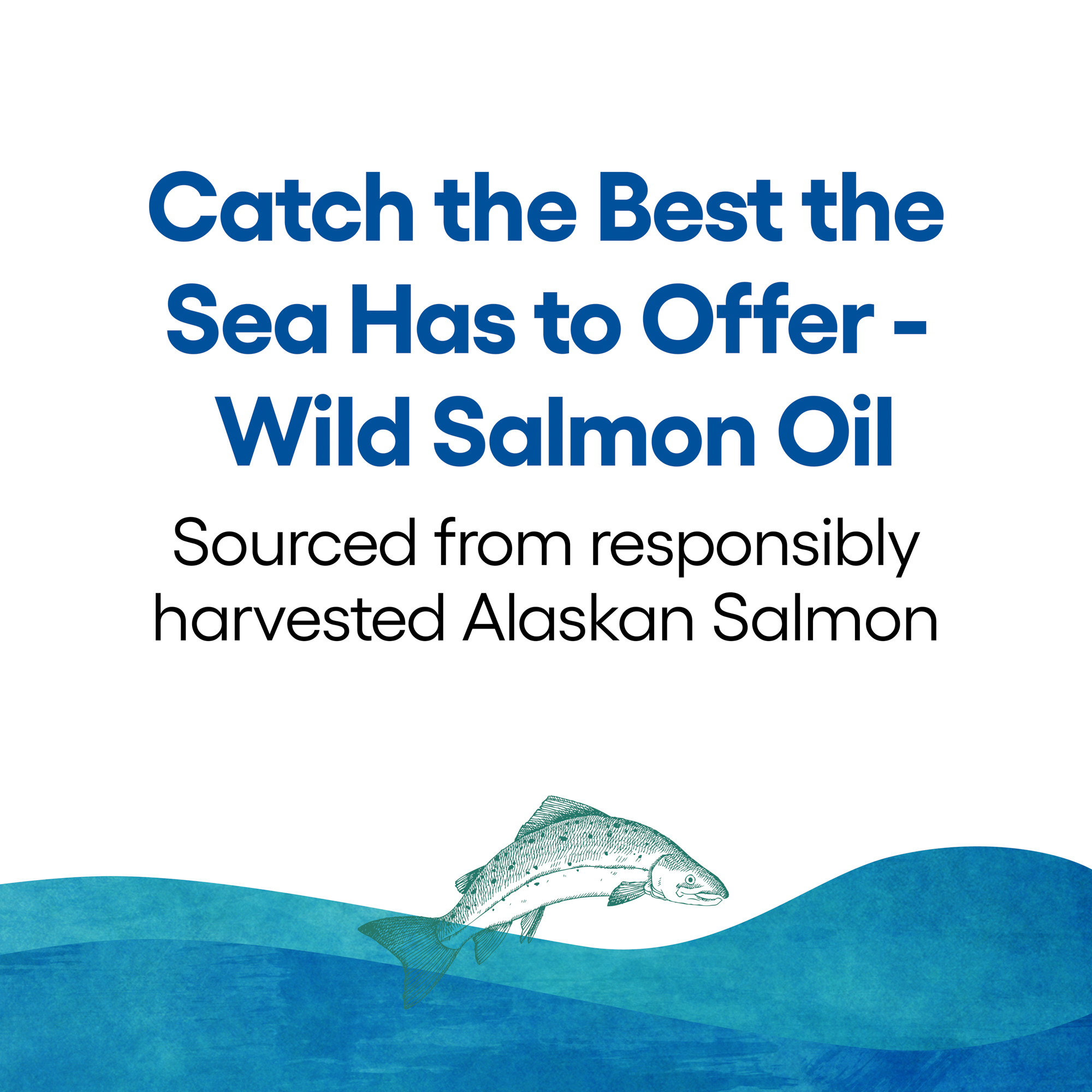 Natural Factors Wild Alaskan Salmon Oil Provides Omega-3, EPA, DHA & Vitamin D, Supports Brain & Heart Health, 180 Softgels