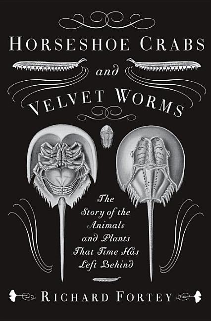 horseshoe crabs and velvet worms horseshoe crabs and velvet worms