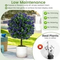thumbnail image 5 of QRKD Artificial Rose Topiary Ball Trees Set of 2, 22” Faux Potted Plants with Purple Flowers and Cement-Filled Pot, Fake Shrubs Bushes for Indoor Outdoor Home Porch Garden（Purple Roses）, 5 of 10