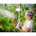 thumbnail image 5 of Palram - Canopia Glory 8' x 16' Walk-In Greenhouse - Gray - with 3 Automatic Roof Vent Openers, 5 of 13