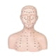 thumbnail image 2 of Cabeza de maniquí con de acupresión, compacta, y realista, modelo de cabeza de entrenamiento profesional para facial de spa., 2 of 9