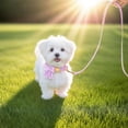 thumbnail image 5 of Minzimin Dog Collar and Leash Set with Bowtie, Soft & Cute Puppy Collar, Cotton Puppy Collar with Adjustable Metal Buckle for Small, Medium Dog, 5 of 9