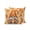 Orange, variant on Christmas Winter Outdoor Throw Pillow with Insert, 16"x16" Rustic Snowman Pine Tree Red Bow Pinecones Waterproof Decorative Square Patio Pillows for Outside Furniture, Sofa, Porch, Garden