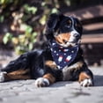 thumbnail image 5 of Paquete de 2 bandanas para perros del 4 de julio, suministros para fiestas para perros del Día de la Independencia, bufanda triangular para mascotas, pañuelo para la cabeza para mascotas, 5 of 5