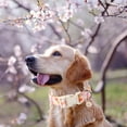 thumbnail image 4 of Collar para perros de algodón Aring Pet Pet Summer Girasol para perros grandes, 4 of 4