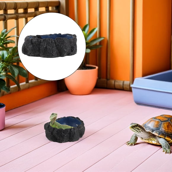 CRAFTHROU Plato Para Reptiles Con Rampa Fácil Y Material Duradero Multicolor