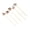 C, variant on A Horse Design Bamboo Skewers For Fruit Or Appetizer Decor Perfect For Birthday Parties Or Cultural Events Food Safe And Biodegradable