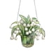 thumbnail image 2 of Fiudx Colgante de Ventana de Acrílico con Flores, Elegante Diseño Floral, Fácil Instalación, Larga Duración, Decoración para Sala de Estar y Dormitorio, Versátil Decoración para El Hogar y La Oficina, 2 of 7