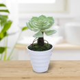 thumbnail image 3 of Decorative Simulation Plants Vivid Fresh Keeping Vibrant Artificial Succulent Bonsai Home Decor, 3 of 10