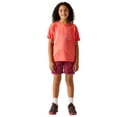 thumbnail image 4 of Regatta T-Shirt Alvarado IX Montagne pour Garçons/filles, 4 of 5