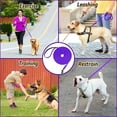 thumbnail image 2 of Lynxking Dog Training Leash Long Lead 15ft 30ft 50ft Tracking Lead for Small Medium and Large Dogs, 2 of 8