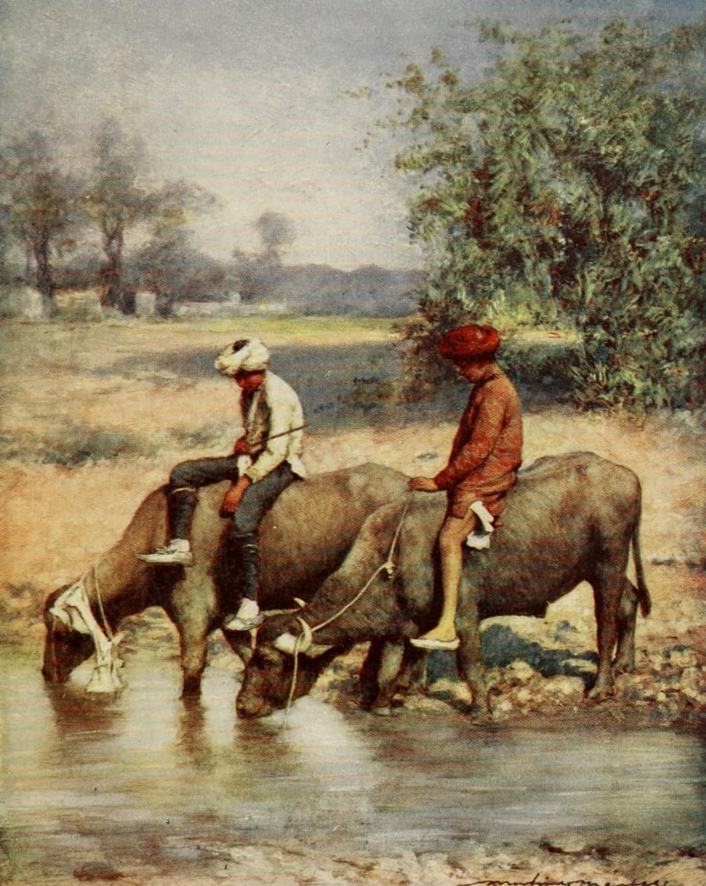 India 1910 Watering