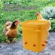 thumbnail image 4 of Bebedero Automático Para Pollos 12l Manual Aves De Corral, 4 of 7