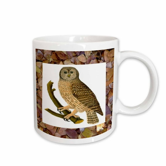 3drose, Owl on Fall Leaves, 15oz Mug