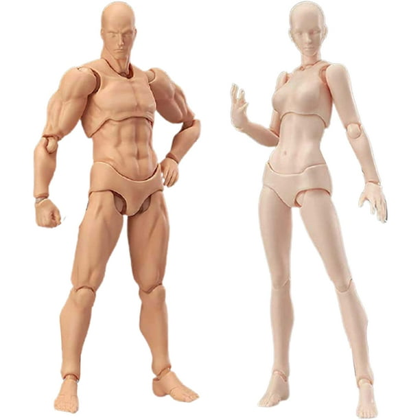 Action Figures Body-Kun DX & Body-Chan DX PVC Model SHF Children Kids  Collector Toy Gift, Drawing Mannequin Figure Models for Artists (Grey Male)
