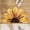 A, variant on Sunflower Shaped Absorbent Bath Mat, Non-Slip Quick Dry Bathroom Rug for Home