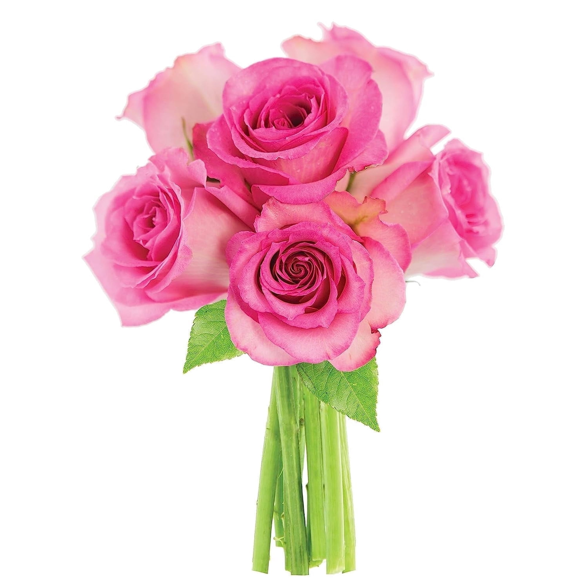 KaBloom : Pink Roses 6 with Greens Bouquet, Next-Day Delivery, Gift for Every Occasion