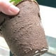 thumbnail image 5 of Macetas de Turba, 30 Macetas de Inicio de Semillas de 3 Pulgadas, Maceta Redonda para Vivero, Macetas Biodegradables con 20 Etiquetas de Plantas Adicionales, 5 of 5