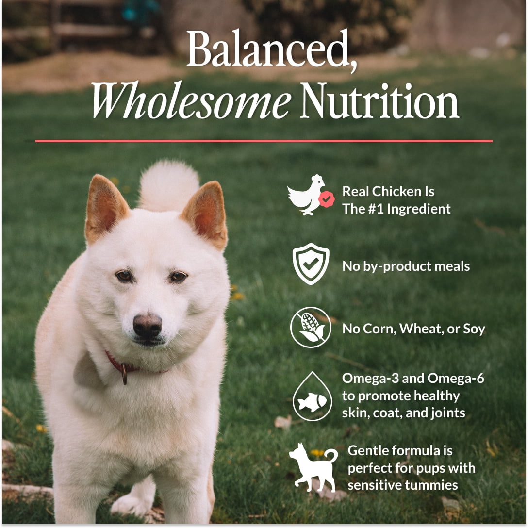 CUDDLY Dry Dog Food, Chicken & Rice, 25lb Bag